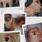 ヒメ日記 2025/11/01 19:47 投稿 みなよ 西川口おかあさん