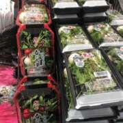 ヒメ日記 2026/01/07 07:56 投稿 みなよ 西川口おかあさん