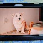 ヒメ日記 2026/01/22 15:06 投稿 みなよ 西川口おかあさん