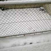 ヒメ日記 2026/02/08 09:36 投稿 みなよ 西川口おかあさん