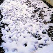 ヒメ日記 2026/02/09 07:16 投稿 みなよ 西川口おかあさん