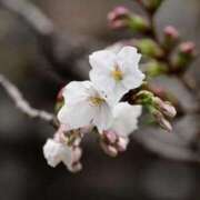ヒメ日記 2026/03/19 16:56 投稿 みなよ 西川口おかあさん