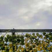 ヒメ日記 2026/03/20 09:16 投稿 みなよ 西川口おかあさん