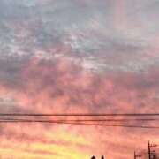 ヒメ日記 2026/04/04 05:46 投稿 みなよ 西川口おかあさん