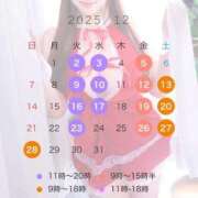 ヒメ日記 2025/11/24 21:22 投稿 ゆい 女帝