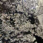 ヒメ日記 2025/03/30 18:47 投稿 二宮めい バルボラ マリン