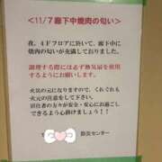 ヒメ日記 2025/11/08 18:39 投稿 みく★超SS級容姿端麗極上美女 Bell～S級美女お姉様・人妻デリヘル～