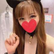 ヒメ日記 2025/11/20 16:32 投稿 みく★超SS級容姿端麗極上美女 Bell～S級美女お姉様・人妻デリヘル～