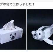 ヒメ日記 2026/01/09 19:45 投稿 みく★超SS級容姿端麗極上美女 Bell～S級美女お姉様・人妻デリヘル～