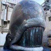 ヒメ日記 2026/03/11 15:18 投稿 みく★超SS級容姿端麗極上美女 Bell～S級美女お姉様・人妻デリヘル～