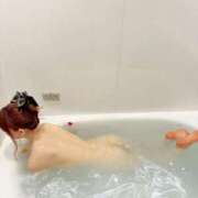 ヒメ日記 2026/04/05 20:12 投稿 みく★超SS級容姿端麗極上美女 Bell～S級美女お姉様・人妻デリヘル～