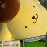 みく★超SS級容姿端麗極上美女 しゅっきん🐰 Bell～S級美女お姉様・人妻デリヘル～