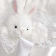 ヒメ日記 2025/11/25 22:48 投稿 【のあ】完全業界未経験の20歳✨ おねだり宮崎