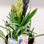 ヒメ日記 2026/02/13 11:41 投稿 ゆりか☆美人妻の戯れ ママらんど 宮崎店