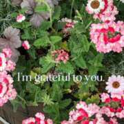 朝桐まや(あさぎりまや) 水曜日のお礼です 五十路マダムエクスプレス厚木店(カサブランカグループ)