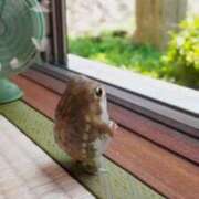 ヒメ日記 2025/10/15 13:52 投稿 ちむ 熟女の風俗最終章 本厚木店