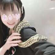 ヒメ日記 2025/01/16 08:16 投稿 あかり【FG系列】 ハンドdeフィーリングin横浜（FG系列）