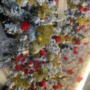 ヒメ日記 2025/12/21 13:34 投稿 高城つむぎ MIRAI TOKYO 六本木店