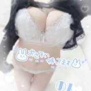 ヒメ日記 2026/01/30 10:25 投稿 のん 秋葉原ハンドメイド