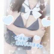 ヒメ日記 2026/02/07 12:30 投稿 のん 秋葉原ハンドメイド