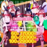 ヒメ日記 2024/06/14 02:30 投稿 ツバキ　【ミニマム×清楚×ドＭ】 ドMなバニーちゃん和歌山店