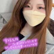 ヒメ日記 2025/12/31 07:00 投稿 めい 池袋モンデミーテ（シンデレラグループ）