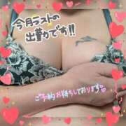 ヒメ日記 2025/05/23 10:08 投稿 前原よしの 大阪ぽっちゃり妻 谷九店