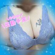 ヒメ日記 2025/08/25 10:30 投稿 前原よしの 大阪ぽっちゃり妻 谷九店