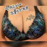 ヒメ日記 2025/10/27 08:30 投稿 前原よしの 大阪ぽっちゃり妻 谷九店