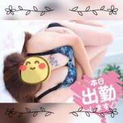 ヒメ日記 2025/12/28 08:30 投稿 前原よしの 大阪ぽっちゃり妻 谷九店