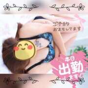 ヒメ日記 2026/01/17 08:30 投稿 前原よしの 大阪ぽっちゃり妻 谷九店