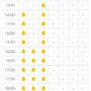 ヒメ日記 2025/03/17 12:24 投稿 ほたる THE ESUTE 五反田店
