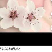 ヒメ日記 2025/06/05 17:40 投稿 ほたる THE ESUTE 五反田店