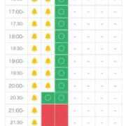 ヒメ日記 2025/11/01 14:07 投稿 ほたる THE ESUTE 五反田店