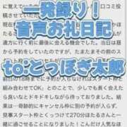 ヒメ日記 2025/11/05 03:20 投稿 ほたる THE ESUTE 五反田店