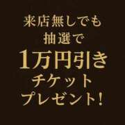 ヒメ日記 2025/11/20 23:30 投稿 ほたる THE ESUTE 五反田店