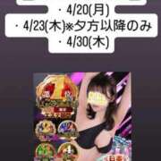 ヒメ日記 2026/04/08 10:23 投稿 ほたる THE ESUTE 五反田店