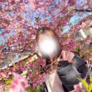 ヒメ日記 2025/04/15 19:51 投稿 やすな G-SPOT