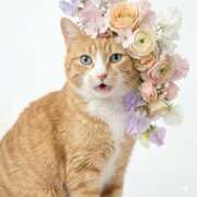 ヒメ日記 2026/04/05 10:47 投稿 ひかる モアグループ熊谷人妻花壇