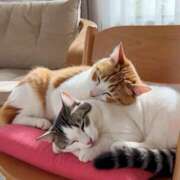 ヒメ日記 2026/04/07 23:16 投稿 ひかる モアグループ熊谷人妻花壇