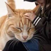 ヒメ日記 2026/04/08 20:16 投稿 ひかる モアグループ熊谷人妻花壇