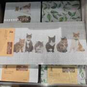 ヒメ日記 2026/04/09 15:44 投稿 ひかる モアグループ熊谷人妻花壇