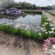 ヒメ日記 2025/06/21 20:42 投稿 まより 熟女の風俗最終章 宇都宮店