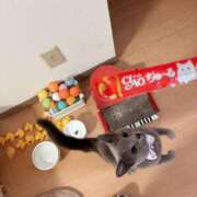 ヒメ日記 2024/12/18 21:18 投稿 有村もえ プレジデントハウス