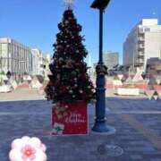 ヒメ日記 2024/12/24 15:17 投稿 有村もえ プレジデントハウス