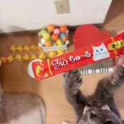 ヒメ日記 2024/12/31 10:30 投稿 有村もえ プレジデントハウス