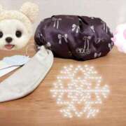 ヒメ日記 2025/01/10 21:16 投稿 有村もえ プレジデントハウス