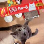 ヒメ日記 2025/01/19 18:25 投稿 有村もえ プレジデントハウス