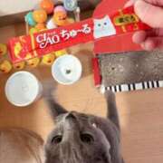 ヒメ日記 2025/01/30 10:52 投稿 有村もえ プレジデントハウス