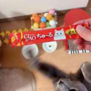 ヒメ日記 2025/02/06 09:45 投稿 有村もえ プレジデントハウス